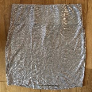 Silver Mini Skirt